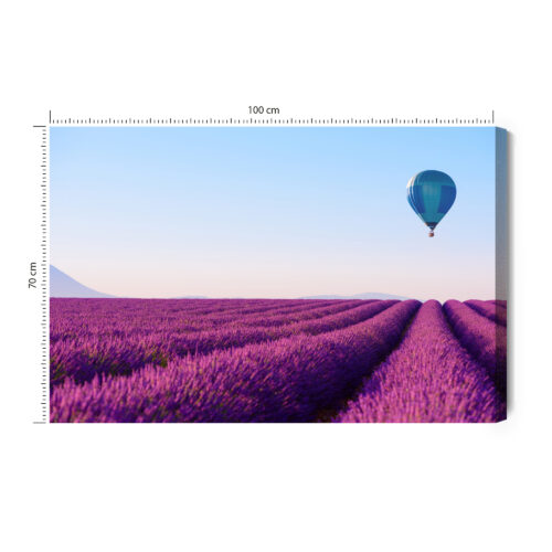 Obraz na płótnie Lawenda Natura Balon  Premium Canvas
