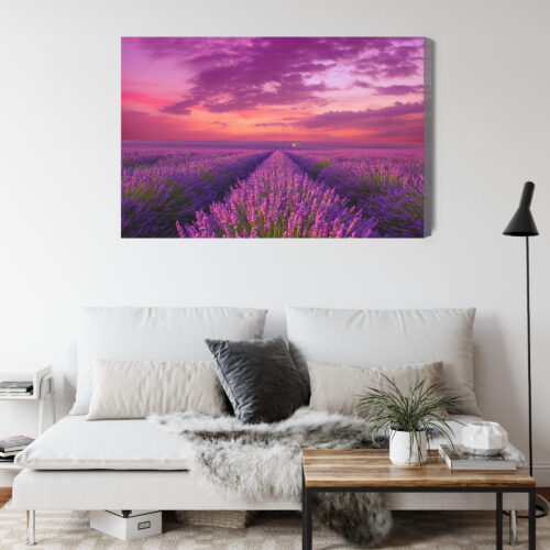 Obraz na płótnie Lawenda Panorama Zachód  Premium Canvas - obrazek 4
