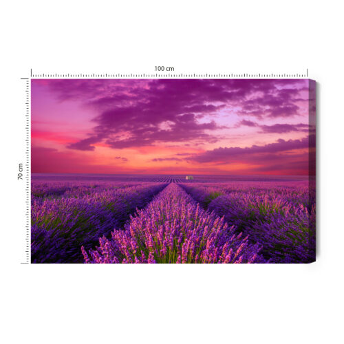 Obraz na płótnie Lawenda Panorama Zachód  Premium Canvas