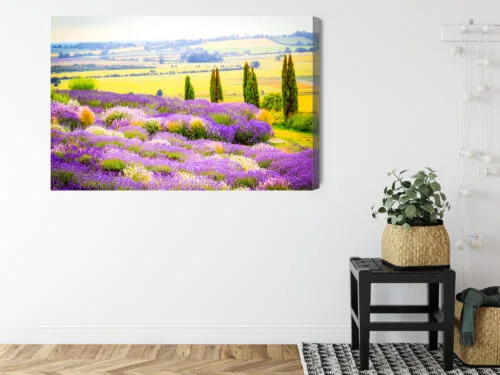 Obraz na płótnie Lawenda Krajobraz Prowansja  Premium Canvas - obrazek 8