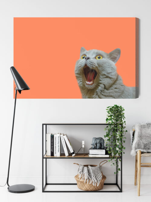 Obraz na płótnie Zaskoczony kot Pomarańczowe tło Minimalizm  Premium Canvas - obrazek 9