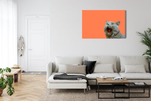 Obraz na płótnie Zaskoczony kot Pomarańczowe tło Minimalizm  Premium Canvas - obrazek 6