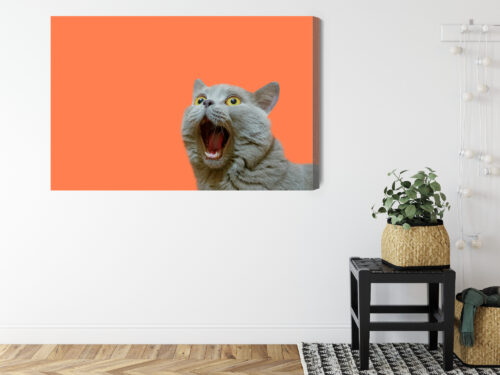Obraz na płótnie Zaskoczony kot Pomarańczowe tło Minimalizm  Premium Canvas - obrazek 8