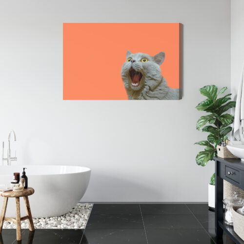 Obraz na płótnie Zaskoczony kot Pomarańczowe tło Minimalizm  Premium Canvas - obrazek 5