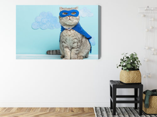 Obraz na płótnie Zwierzęta Kot superbohater Premium Canvas - obrazek 8