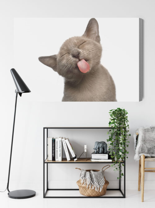 Obraz na płótnie Zwierzęta Kot z językiem Premium Canvas - obrazek 9