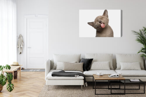 Obraz na płótnie Zwierzęta Kot z językiem Premium Canvas - obrazek 6