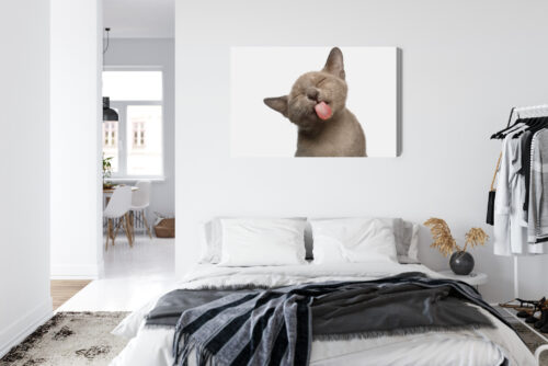 Obraz na płótnie Zwierzęta Kot z językiem Premium Canvas - obrazek 7