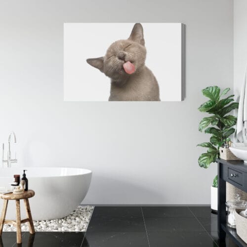Obraz na płótnie Zwierzęta Kot z językiem Premium Canvas - obrazek 5