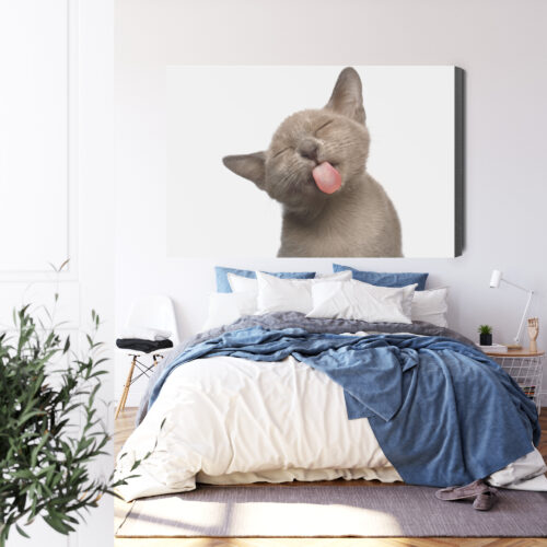Obraz na płótnie Zwierzęta Kot z językiem Premium Canvas - obrazek 3