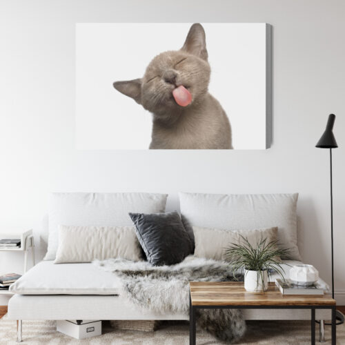 Obraz na płótnie Zwierzęta Kot z językiem Premium Canvas - obrazek 4