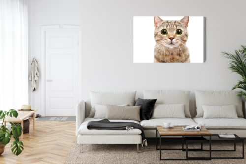 Obraz na płótnie Kot z wielkimi oczami Minimalizm biały  Premium Canvas - obrazek 6