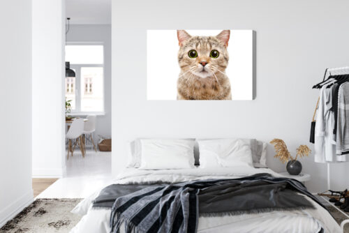 Obraz na płótnie Kot z wielkimi oczami Minimalizm biały  Premium Canvas - obrazek 7