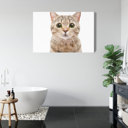 Obraz na płótnie Kot z wielkimi oczami Minimalizm biały  Premium Canvas - obrazek 5