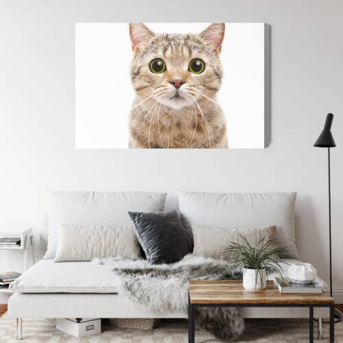 Obraz na płótnie Kot z wielkimi oczami Minimalizm biały  Premium Canvas - obrazek 4