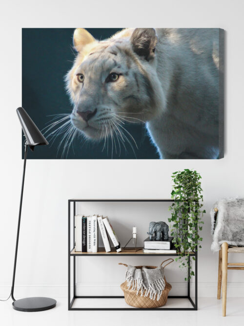 Obraz na płótnie Zwierzęta Biały tygrys Premium Canvas - obrazek 9