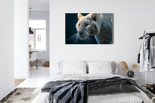 Obraz na płótnie Zwierzęta Biały tygrys Premium Canvas - obrazek 7