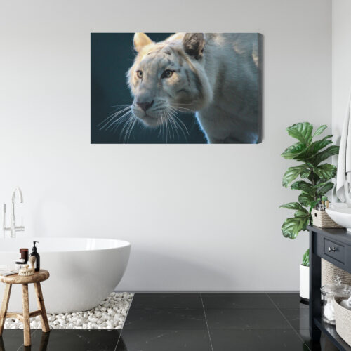 Obraz na płótnie Zwierzęta Biały tygrys Premium Canvas - obrazek 5