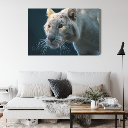 Obraz na płótnie Zwierzęta Biały tygrys Premium Canvas - obrazek 4