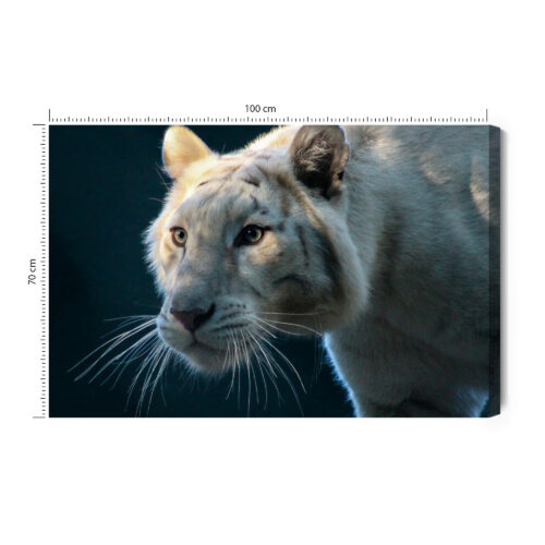 Obraz na płótnie Zwierzęta Biały tygrys Premium Canvas