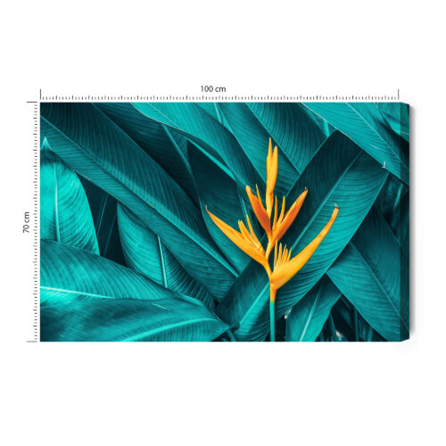 Obraz na płótnie Rośliny Fotografia Egzotyka  Premium Canvas