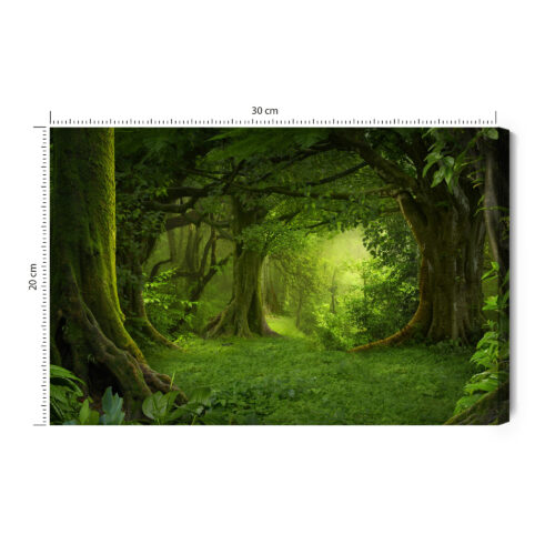 Obraz na płótnie Las Tropikalny Zieleń Ścieżka w dżungli  Premium Canvas