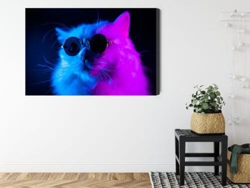 Obraz na płótnie Zwierzęta Kot w okularach Premium Canvas - obrazek 8