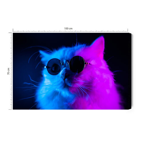Obraz na płótnie Zwierzęta Kot w okularach Premium Canvas