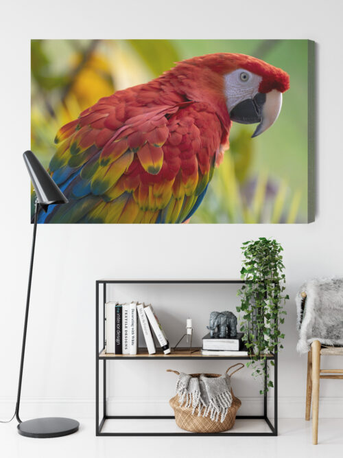 Obraz na płótnie Zwierzęta Ara czerwona Premium Canvas - obrazek 9