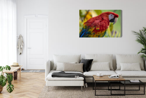 Obraz na płótnie Zwierzęta Ara czerwona Premium Canvas - obrazek 6
