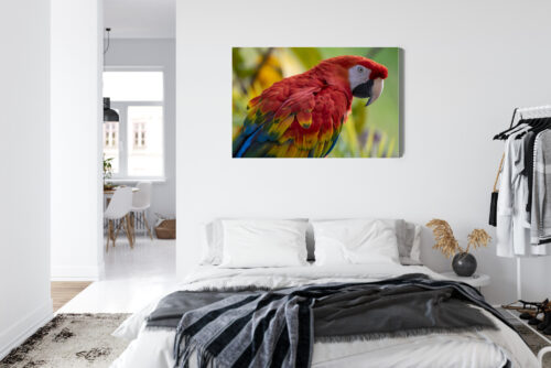 Obraz na płótnie Zwierzęta Ara czerwona Premium Canvas - obrazek 7