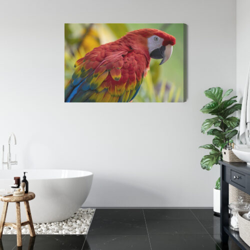 Obraz na płótnie Zwierzęta Ara czerwona Premium Canvas - obrazek 5
