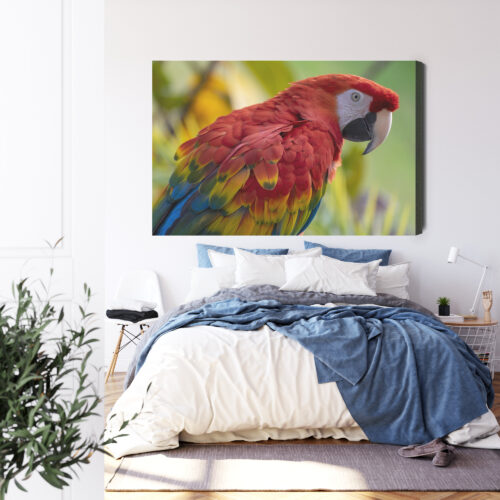 Obraz na płótnie Zwierzęta Ara czerwona Premium Canvas - obrazek 3