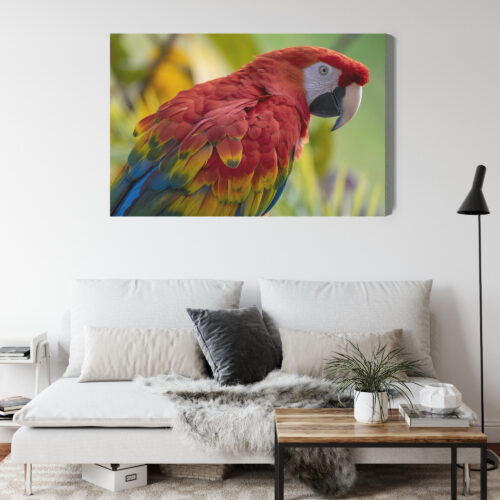 Obraz na płótnie Zwierzęta Ara czerwona Premium Canvas - obrazek 4