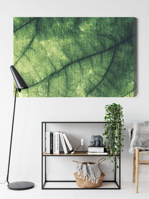 Obraz na płótnie Natura liść makro Premium Canvas - obrazek 9