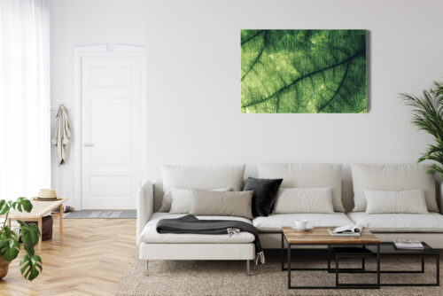 Obraz na płótnie Natura liść makro Premium Canvas - obrazek 6
