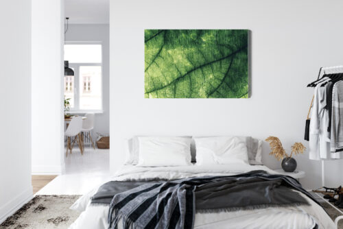 Obraz na płótnie Natura liść makro Premium Canvas - obrazek 7