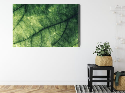 Obraz na płótnie Natura liść makro Premium Canvas - obrazek 8