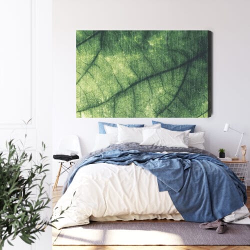 Obraz na płótnie Natura liść makro Premium Canvas - obrazek 3