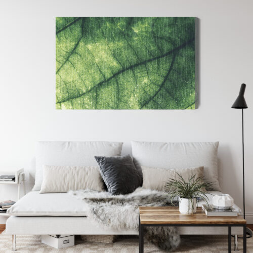 Obraz na płótnie Natura liść makro Premium Canvas - obrazek 4