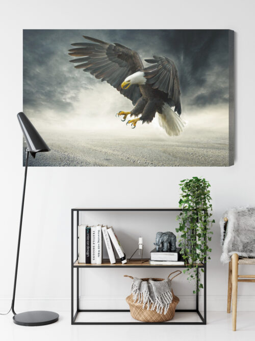 Obraz na płótnie Zwierzęta Bielik w locie Premium Canvas - obrazek 9
