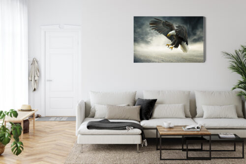 Obraz na płótnie Zwierzęta Bielik w locie Premium Canvas - obrazek 6