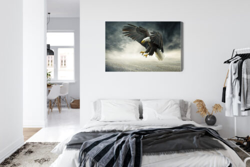 Obraz na płótnie Zwierzęta Bielik w locie Premium Canvas - obrazek 7