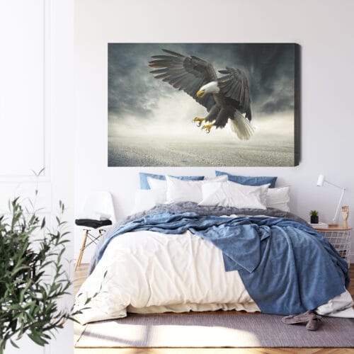 Obraz na płótnie Zwierzęta Bielik w locie Premium Canvas - obrazek 3