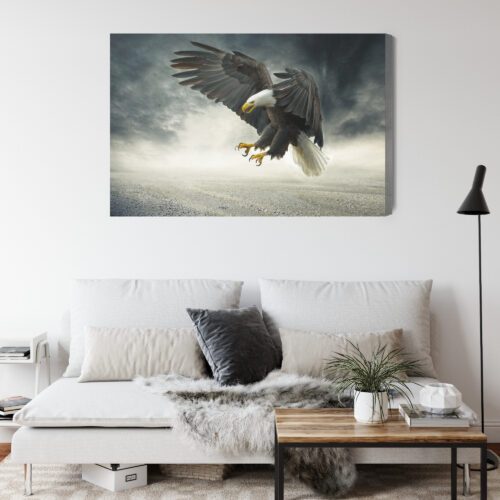 Obraz na płótnie Zwierzęta Bielik w locie Premium Canvas - obrazek 4
