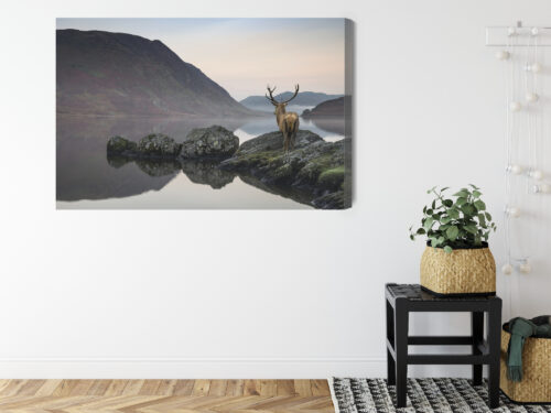 Obraz na płótnie Jeleń góry jezioro Premium Canvas - obrazek 8