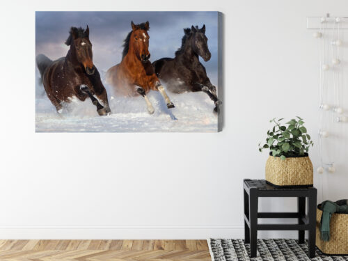 Obraz na płótnie Zwierzęta Konie w śniegu Premium Canvas - obrazek 8