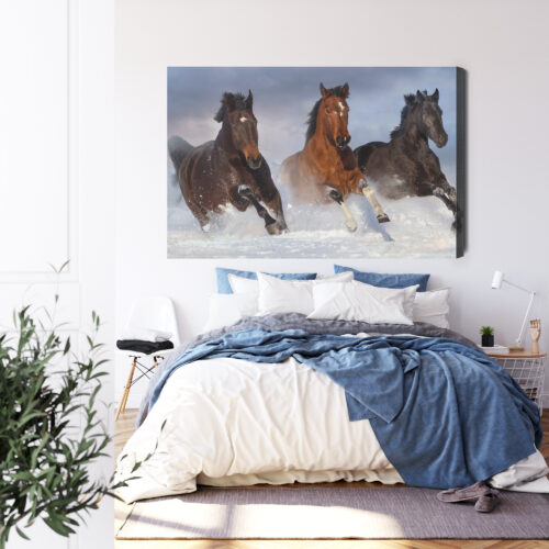 Obraz na płótnie Zwierzęta Konie w śniegu Premium Canvas - obrazek 3