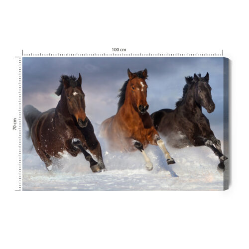 Obraz na płótnie Zwierzęta Konie w śniegu Premium Canvas