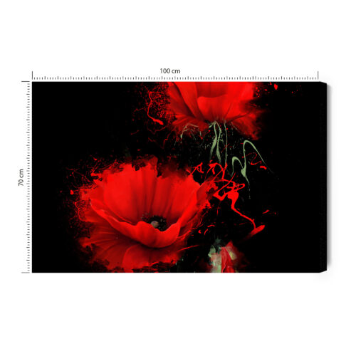 Obraz na płótnie Kwiaty Czerwone maki Premium Canvas